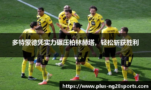 ng体育官方网站