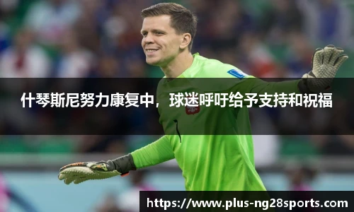 ng体育官方网站